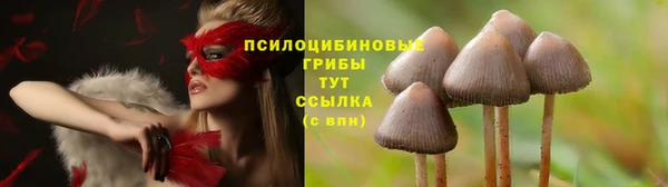 меф Алексин