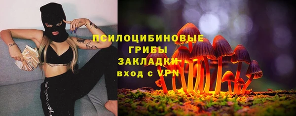 круглые Алексеевка