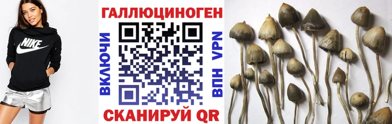 Галлюциногенные грибы MAGIC MUSHROOMS  Собинка 